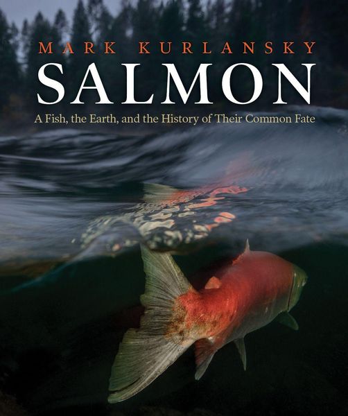 Produktbild: Salmon