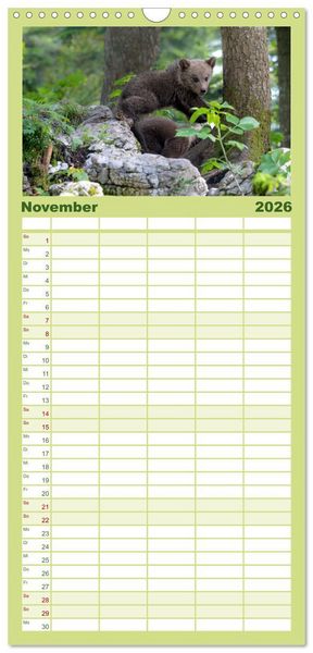 Produktbild: Familienplaner 2026 - Lautlos in den W&auml;ldern Sloweniens mit 5 Spalten (Wandkalender, 21 x 45 cm) CALVENDO