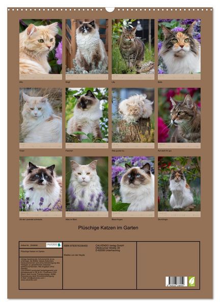 Produktbild: Pl&uuml;schige Katzen im Garten (Wandkalender 2026 DIN A2 hoch), CALVENDO Monatskalender