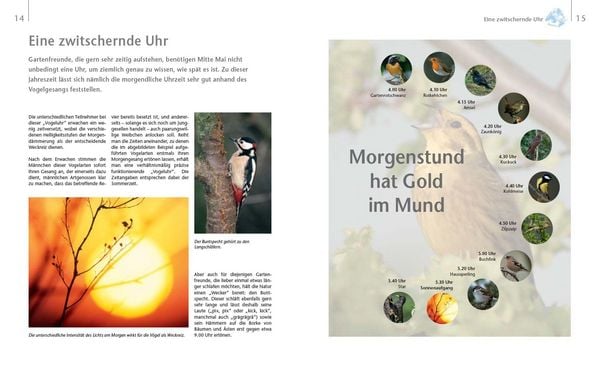 Produktbild: V&ouml;gel zu Gast im Garten - Heimische V&ouml;gel beobachten, bestimmen, sch&uuml;tzen.