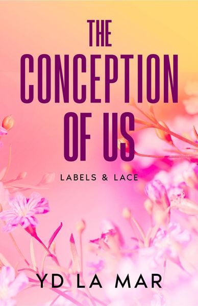 Produktbild: The Conception of Us (Labels & Lace, #2)