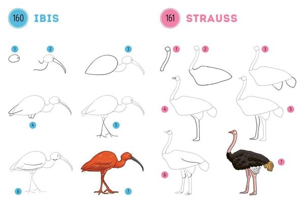 Produktbild: 300 Motive zeichnen &ndash;&nbsp;Tiere