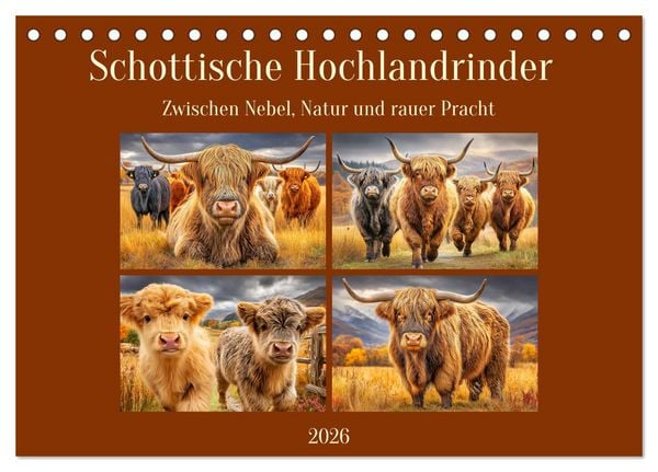 Produktbild: Schottische Hochlandrinder. Zwischen Nebel, Natur und rauer Pracht (Tischkalender 2026 DIN A5 quer), CALVENDO Monatskalender