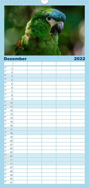 Produktbild: Papageien - Frech, sch&ouml;n und schlau - Familienplaner hoch (Wandkalender 2022 , 21 cm x 45 cm, hoch)