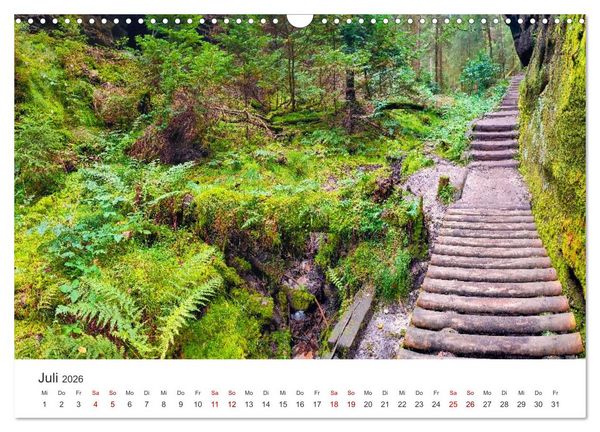 Produktbild: DEUTSCHLAND, S&auml;chsische Schweiz Nationalpark, M&auml;rchenwald (Wandkalender 2026 DIN A3 quer), CALVENDO Monatskalender