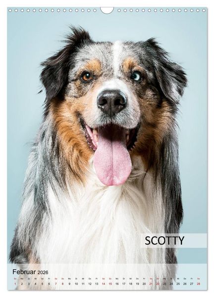 Produktbild: Hundekalender - Hunderassen im Portrait (Wandkalender 2026 DIN A3 hoch), CALVENDO Monatskalender