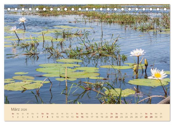 Produktbild: Einmalige Landschaften in Afrika (Tischkalender 2026 DIN A5 quer), CALVENDO Monatskalender
