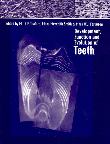 Produktbild: Development, Function and Evolution of Teeth