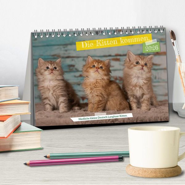 Produktbild: Die Kitten kommen. (Tischkalender 2026 DIN A5 quer), CALVENDO Monatskalender