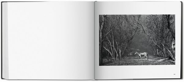 Produktbild: Sebasti&atilde;o Salgado