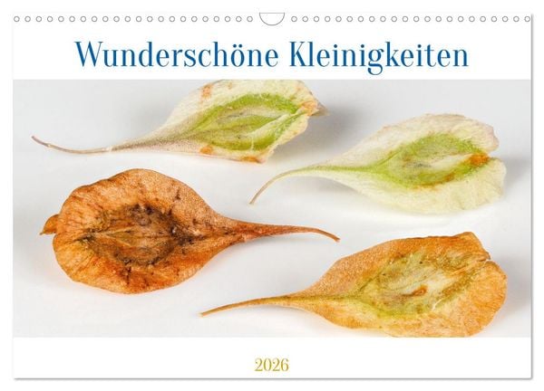Produktbild: Wundersch&ouml;ne Kleinigkeiten (Wandkalender 2026 DIN A3 quer), CALVENDO Monatskalender