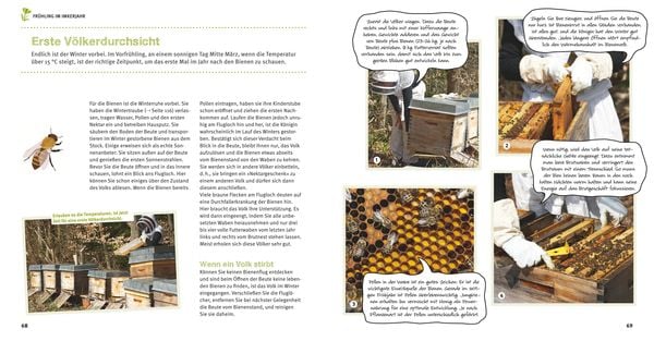 Bienen Basics