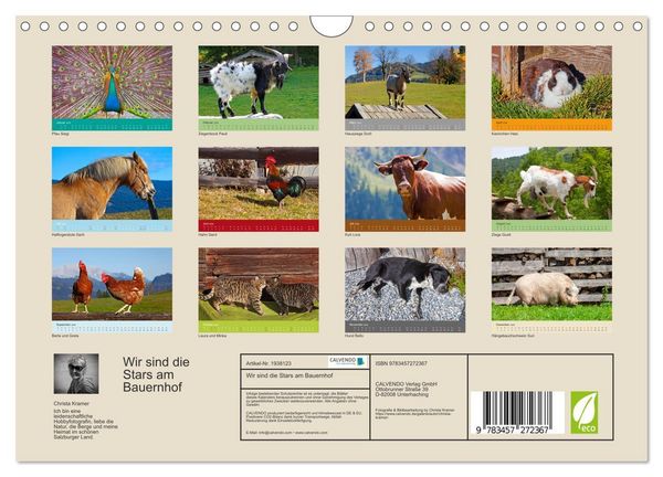 Produktbild: Wir sind die Stars am Bauernhof (Wandkalender 2026 DIN A4 quer), CALVENDO Monatskalender