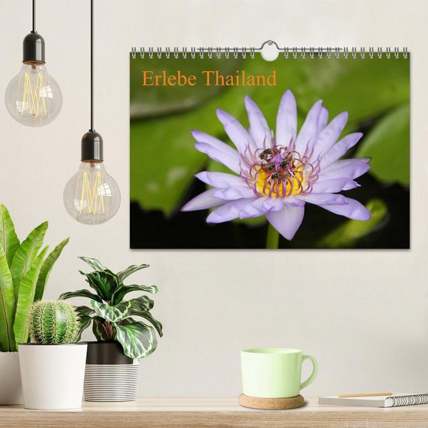 Produktbild: Erlebe Thailand (Wandkalender 2026 DIN A4 quer), CALVENDO Monatskalender