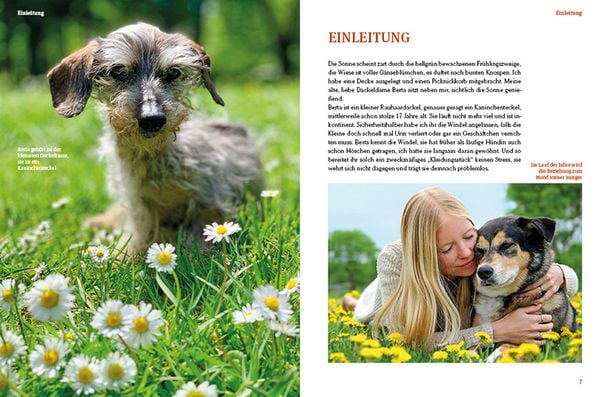 Produktbild: Hunde-Rentner