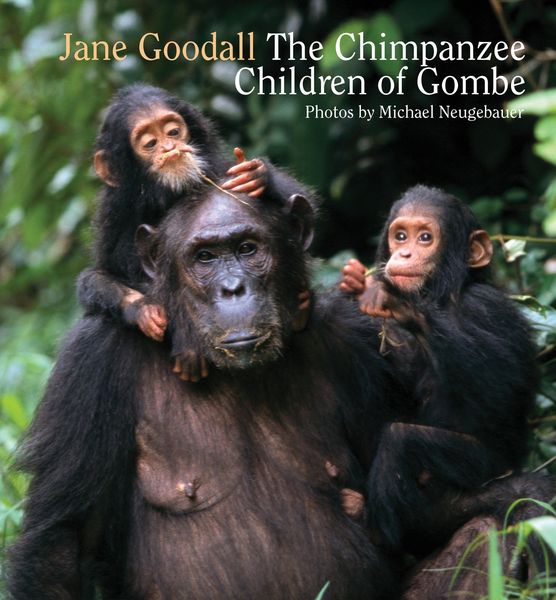 Produktbild: Chimpanzee Children of Gombe