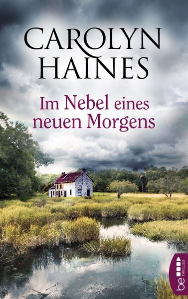 Produktbild: Im Nebel eines neuen Morgens