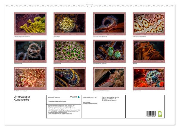 Produktbild: Unterwasser Kunstwerke (Wandkalender 2026 DIN A2 quer), CALVENDO Monatskalender