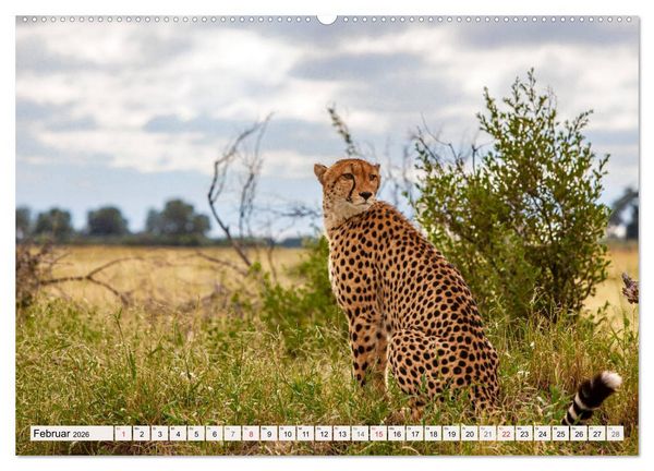 Produktbild: Wildnis Okavango-Delta (Wandkalender 2026 DIN A2 quer), CALVENDO Monatskalender