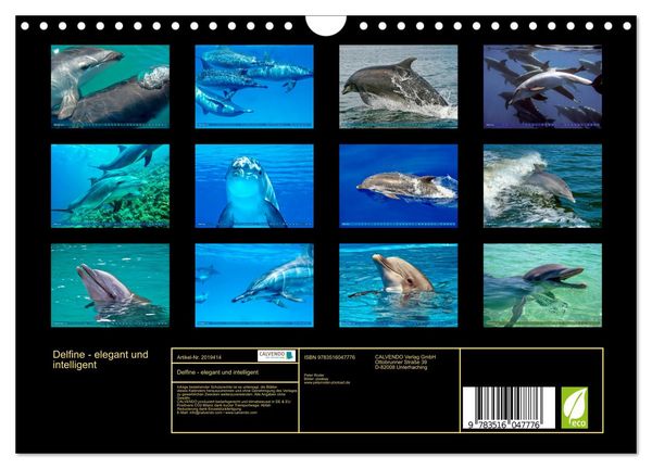Produktbild: Delfine - elegant und intelligent (Wandkalender 2026 DIN A4 quer), CALVENDO Monatskalender