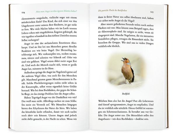 Produktbild: Kleine Philosophie der V&ouml;gel