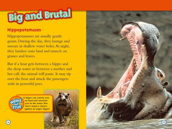 Produktbild: Deadliest Animals