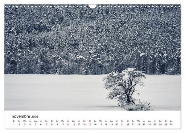 Produktbild: Visite de la France (Calendrier mural 2026 DIN A3 vertical), CALVENDO calendrier mensuel