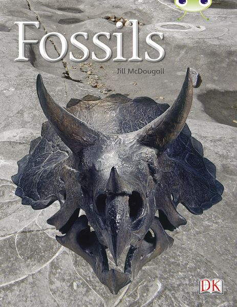 Produktbild: Bug Club Guided Non Fiction Year Two Gold A Fossils