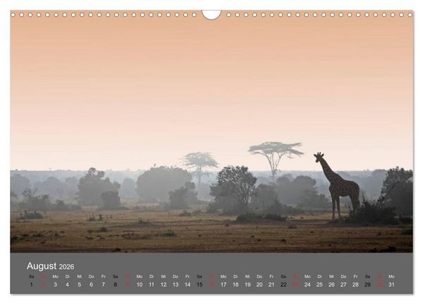 Produktbild: Ich tr&auml;umte von Afrika (Wandkalender 2026 DIN A3 quer), CALVENDO Monatskalender