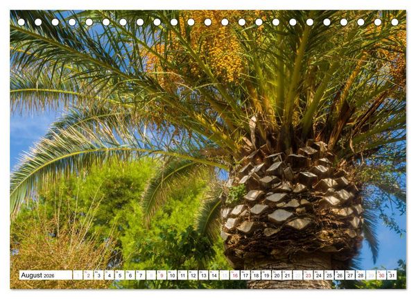 Produktbild: Miami Platja - Unvergessliche Meerblicke (Tischkalender 2026 DIN A5 quer), CALVENDO Monatskalender