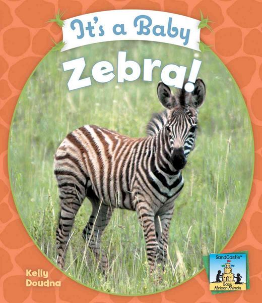 Produktbild: It's a Baby Zebra!