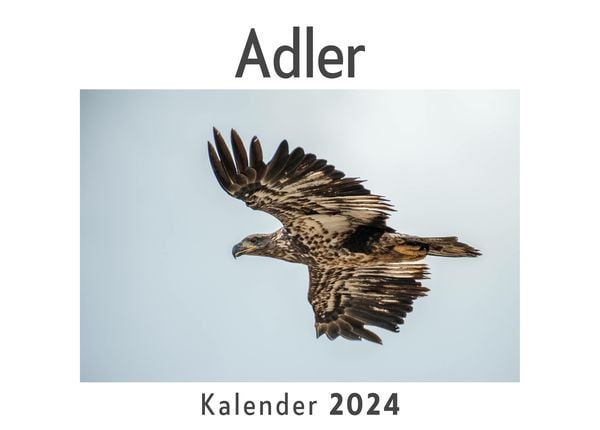 Produktbild: Adler (Wandkalender 2024, Kalender DIN A4 quer, Monatskalender im Querformat mit Kalendarium, Das perfekte Geschenk)