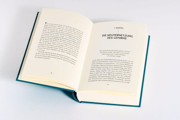 Produktbild: Visualisiere!