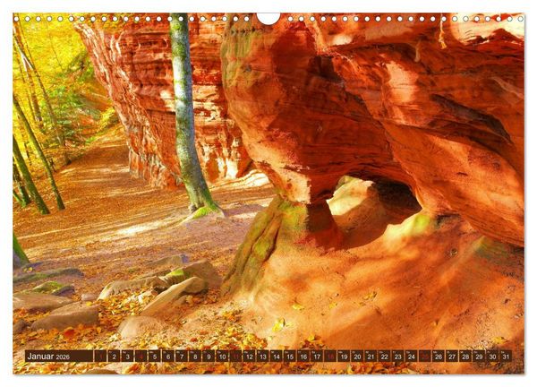 Produktbild: Der Altschlossfelsen - Gr&ouml;&szlig;te Felsformation der Pfalz im herbstlichen Farbspiel (Wandkalender 2026 DIN A3 quer), CALVENDO Monatskalender