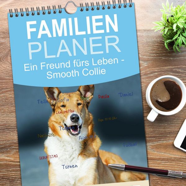 Produktbild: Familienplaner 2026 - Ein Freund f&uuml;rs Leben - Smooth Collie mit 5 Spalten (Wandkalender, 21 x 45 cm) CALVENDO