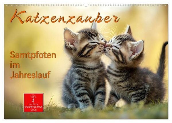 Produktbild: Katzenzauber - Samtpfoten im Jahreslauf (Wandkalender 2026 DIN A2 quer), CALVENDO Monatskalender