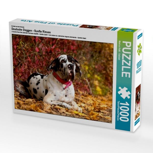 CALVENDO Puzzle Ein Motiv aus dem Kalender Deutsche Doggen - Sanfte Riesen | 1000 Teile Lege-Größe 64x48cm Foto-Puzzle für glückliche Stunden