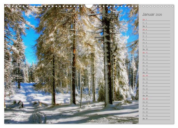Produktbild: Zwischen Harz und Heide (Wandkalender 2026 DIN A3 quer), CALVENDO Monatskalender