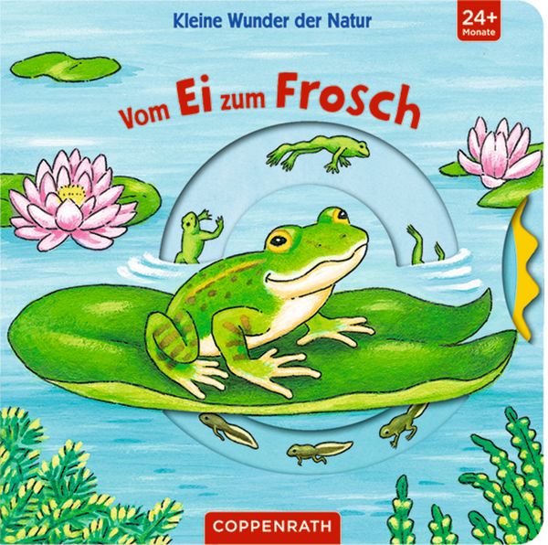 Produktbild: Kleine Wunder der Natur: Vom Ei zum Frosch
