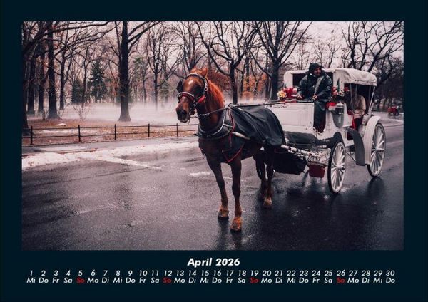 Produktbild: Die Welt der Pferde 2026 Fotokalender DIN A4