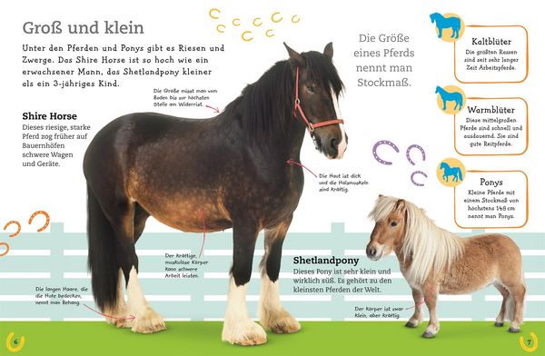 Produktbild: Pferde und Ponys