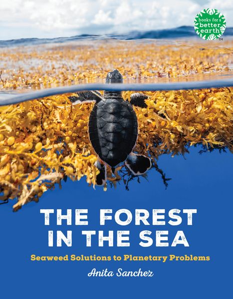 Produktbild: The Forest in the Sea