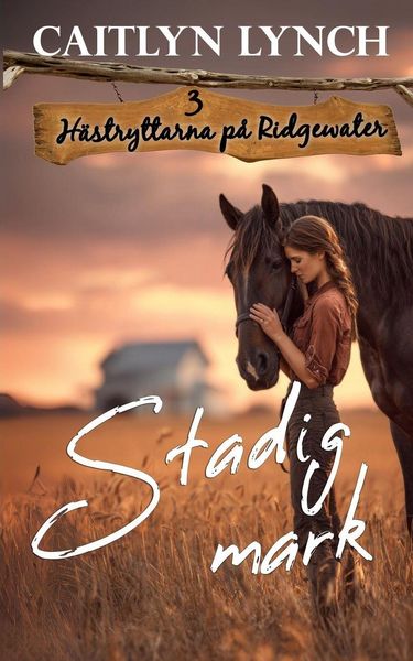 Produktbild: Stadig mark