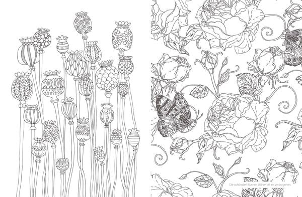 Produktbild: Inspiration Blumenwiese