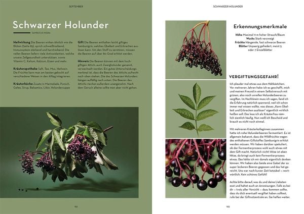 Produktbild: Wild durchs Jahr
