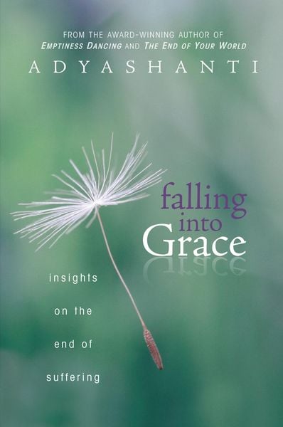 Produktbild: Falling Into Grace