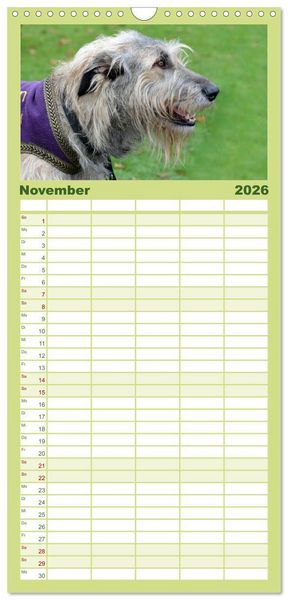 Produktbild: Familienplaner 2026 - Windhunde im Portrait mit 5 Spalten (Wandkalender, 21 x 45 cm) CALVENDO