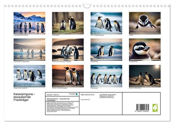 Produktbild: Kaiserpinguine - bezaubernde Fracktr&auml;ger (Wandkalender 2026 DIN A3 quer), CALVENDO Monatskalender