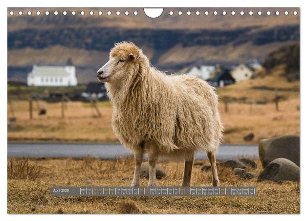 Produktbild: Spectacular beauty - Faroe Islands (Wall Calendar 2026 DIN A4 landscape), CALVENDO 12 Month Wall Calendar