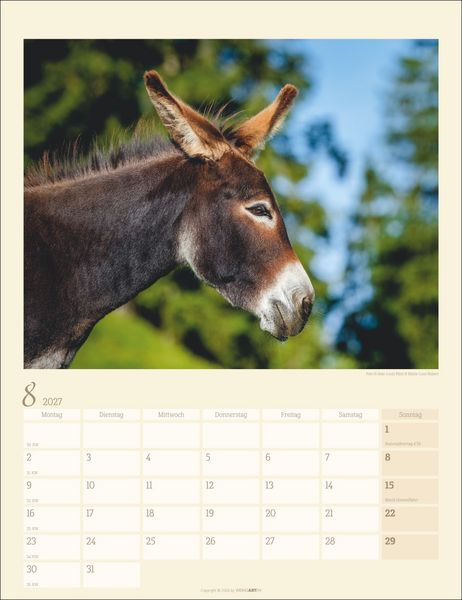 Produktbild: Esel Kalender 2027